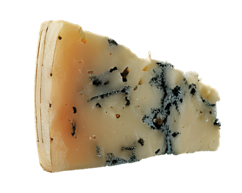 Gorgonzola